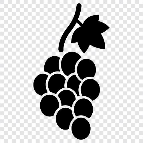 wine, table, grape, red icon svg