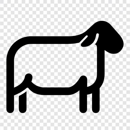 yün, fleece, lamb, mutton ikon svg