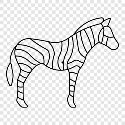 zebra, mammal, animal, African icon svg