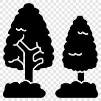 a living organism, water, and other essential, Tree icon svg