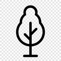 Tree icon svg