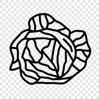 abbage, Cabbage Head, Cabbage Leasts, Cabbage Stem Значок svg