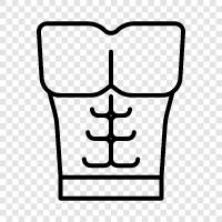 abs, sixpack, mide, egzersiz ikon svg