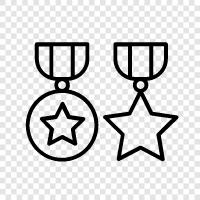 accolades, honors, commendations, badges icon svg