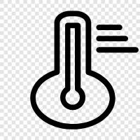 Accurate, Thermometer, Digital, Hyg icon svg