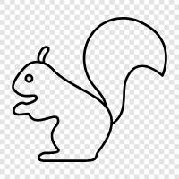 activity, food, nut, tree Squirrels are active icon svg