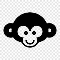 african, primate, simian, face icon svg