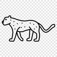 African big cat, endangered species, big cat, hunting icon svg