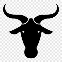 African, Wildlife, Bison, African Safari icon svg