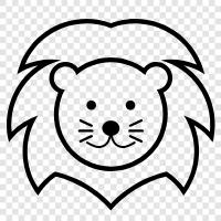 African lion, big cat, cougar, jungle cat icon svg