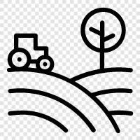 Agriculture, Farming, Crops, Vegetables icon svg
