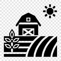 agriculture, crop, farm, field icon svg