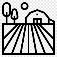 Agriculture, Farming, Farmland, Crops icon svg