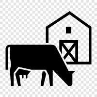 agriculture, farming, produce, crops icon svg