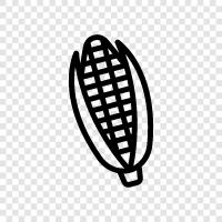 agriculture, maize, farming, field icon svg