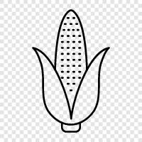 agriculture, farming, maize, corn mill icon svg