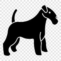 Airedale Terrier Puppies, Airedale Terrier Pictures, Airedale Terrier icon svg