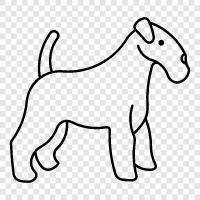 Airedale Terrier, köpek, hayvan, evcil hayvan ikon svg