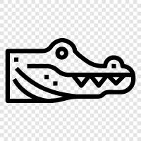 alligator, monitor, snake, water icon svg