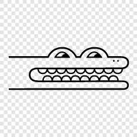 Alligator, Tier, Reptil, Raubtier symbol