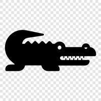 alligators, American alligators, crocodile, giant alligator icon svg