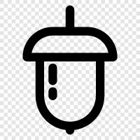 Mandeln, Pistazien, Macadamia, Haselnuss symbol
