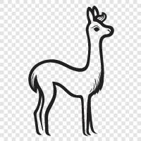 alpaca, fiber, fiber industry, fiber products icon svg