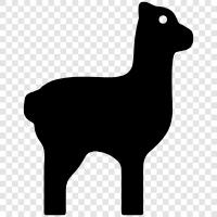 alpaca, fiber, fiber arts, textiles icon svg