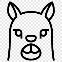 alpaca, domestication, fiber, meat icon svg