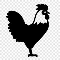 American, Huhn, Bauernhof, Eier symbol