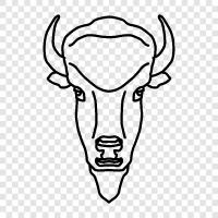 American Bison, Bison Antelope, Bison Bull, Bison icon svg