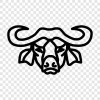 American bison, meat, buffalo steak, wild game icon svg