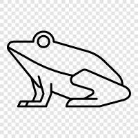 amphibian, animal, creature, critter icon svg