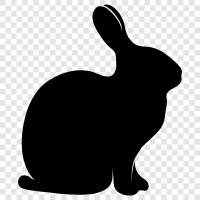 Angora, Fiber, Fur, Rabbit Ears icon svg