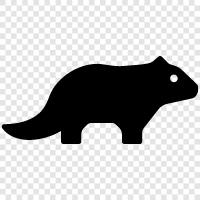 animal, animal behavior, animal conservation, animal farming icon svg