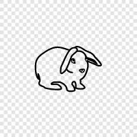 Hayvan, Easter, Bunnies, Pets ikon svg