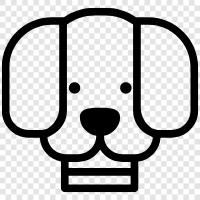 animal, pet, house, breed icon svg