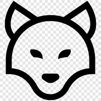 animal, canid, animal behavior, animal study icon svg