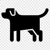 animal, pet, breed, shepherd icon svg