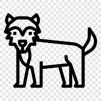 animal, animal behavior, animal care, animal feeding icon svg