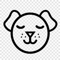 animal, cute, furry, cuddly icon svg