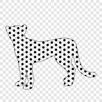 animal, big cats, hunting, speed icon svg