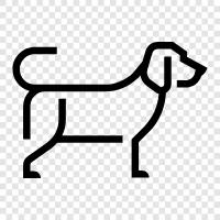 animal, pet, house pet, cute icon svg