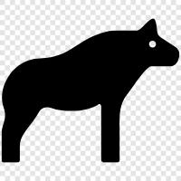 animal, predator, scavenger, black icon svg