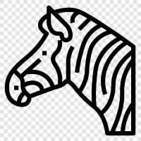animal, striped, black and white, animal shelter icon svg