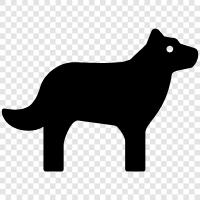 animal, pet, house, breed icon svg