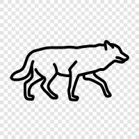 animal, hunting, prey, pack icon svg