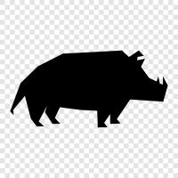 animal, scavenger, meat, tusk icon svg