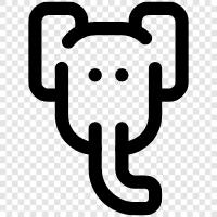 animal, tusk, trunk, large icon svg