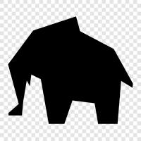 animal, conservation, endangered, ivory icon svg